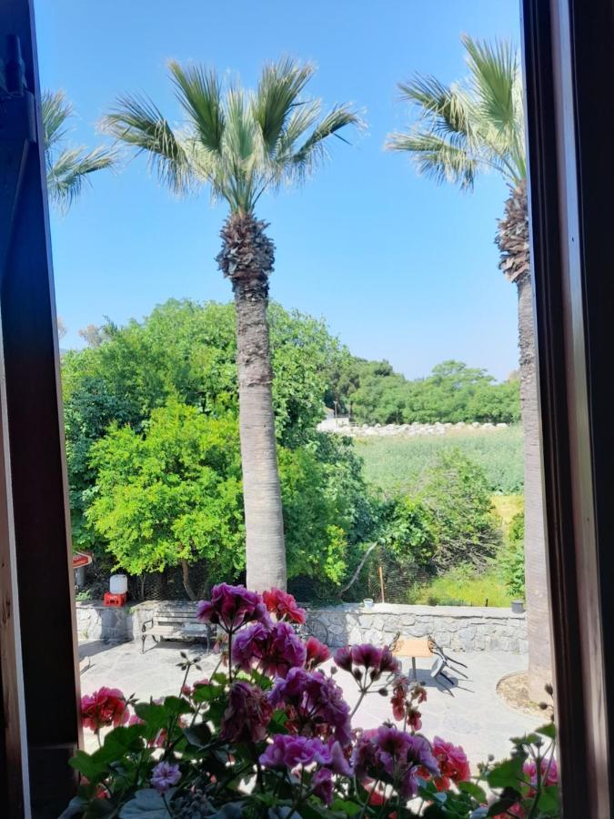 Casa Callinos Bed & Breakfast Selcuk Exterior photo