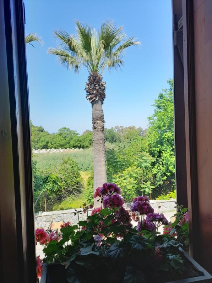 Casa Callinos Bed & Breakfast Selcuk Exterior photo